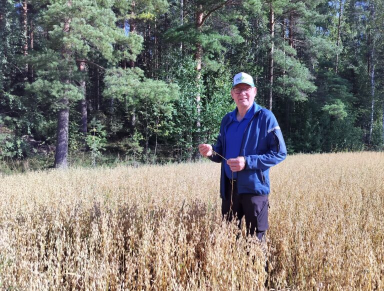 Tröskandet är i gång på Stefan Widlunds ekogård